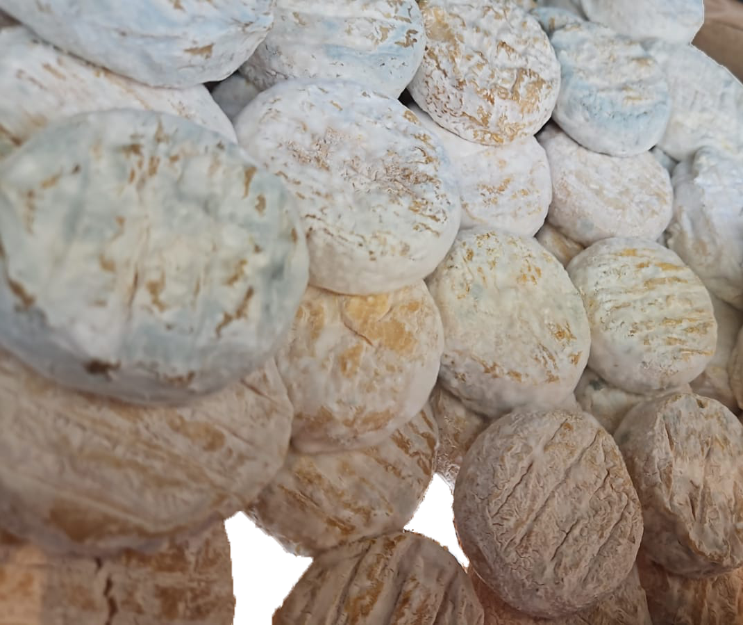 Les petits chèvres, Picodons, pelardons et chèvre du Garn